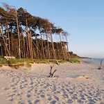 31 - Halbinsel Darss - Ostsee * Wieck