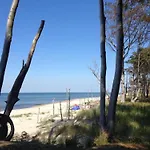 31 - Halbinsel Darss - Ostsee