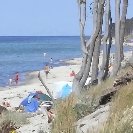 31 - Halbinsel Darss - Ostsee Apartment Wieck