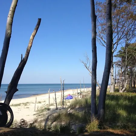 31 - Halbinsel Darss - Ostsee Apartment