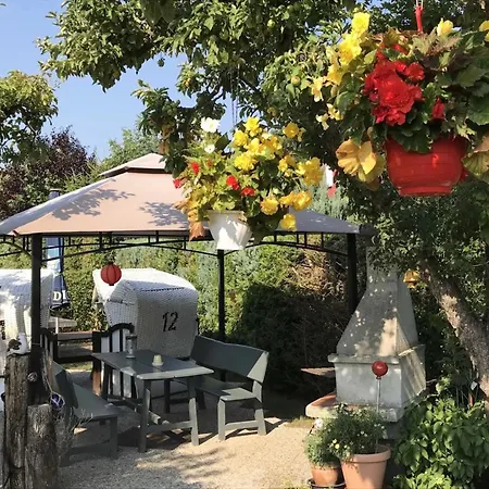 31 - Halbinsel Darss - Ostsee