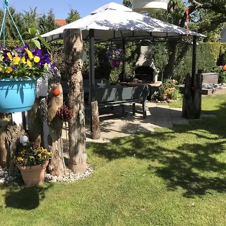 31 - Halbinsel Darss - Ostsee