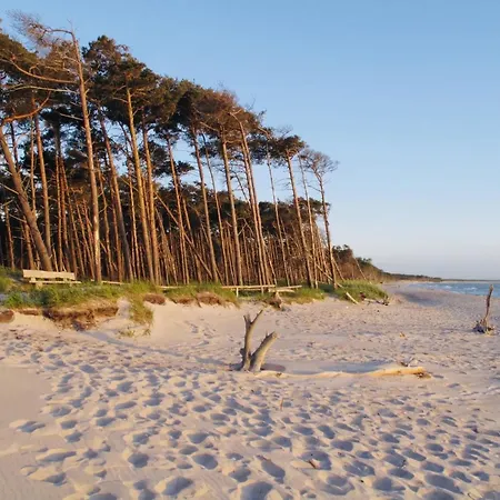 31 - Halbinsel Darss - Ostsee * 维克